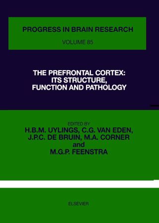 Cover image: The Prefrontal Cortex: Its Structure, Function and Pathology: Its Structure, Function and Pathology 9780444811240