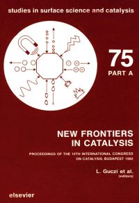 Imagen de portada: New Frontiers in Catalysis, Parts A-C 9780444896216