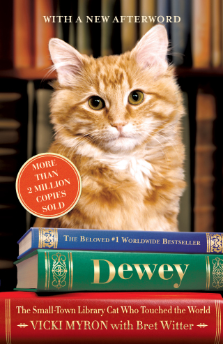 Cover image: Dewey 9780446542203