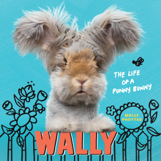 Cover image: Wally 9780451495907