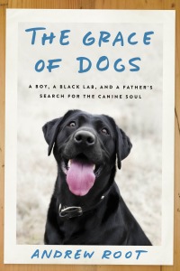 Cover image: The Grace of Dogs 9780451497598