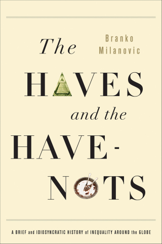 Cover image: The Haves and the Have-Nots 9780465019748