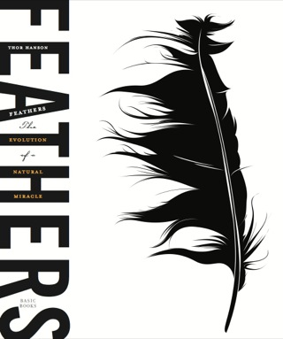 Cover image: Feathers 9780465023462