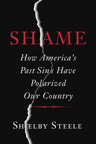 Cover image: Shame 9780465040551