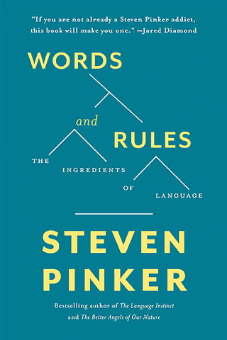 Cover image: Words and Rules 9780465072705
