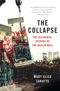 Cover image: The Collapse 9780465056903
