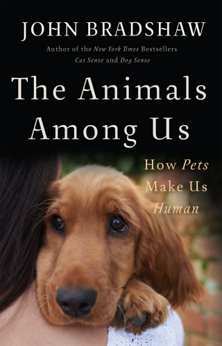 Cover image: The Animals Among Us 1st edition 9780465064816
