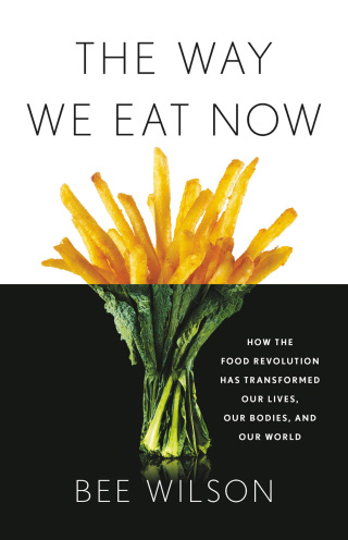 Cover image: The Way We Eat Now 1st edition 9780465093977