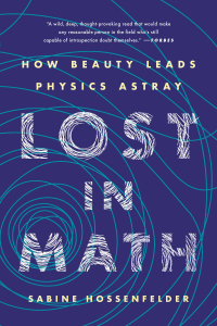 Cover image: Lost in Math 9780465094257