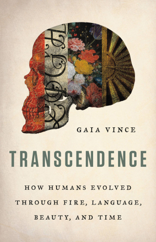 Cover image: Transcendence 9780465094905