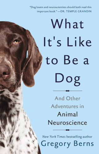Cover image: What It's Like to Be a Dog 1st edition 9780465096244
