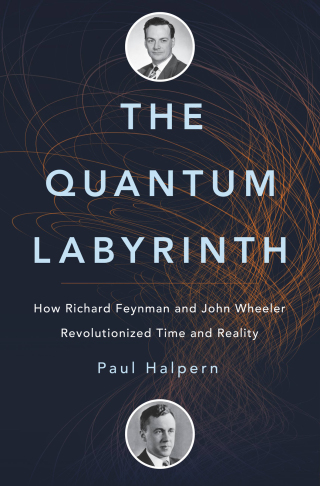 Cover image: The Quantum Labyrinth 1st edition 9780465097586