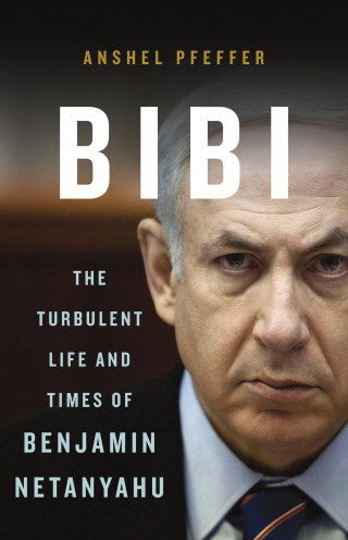 Cover image: Bibi 1st edition 9780465097838