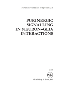 Cover image: Purinergic Signalling in Neuron-Glia Interactions 1st edition 9780470018606