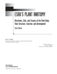 Imagen de portada: Esau's Plant Anatomy: Meristems, Cells, and Tissues of the Plant Body: Their Structure, Function, and Development 3rd edition 9780471738435