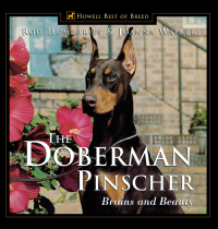 Imagen de portada: The Doberman Pinscher 1st edition 9780876052167