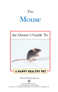 Cover image: The Mouse 1st edition 9781582450063