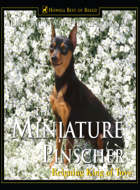 Omslagafbeelding: Miniature Pinscher 1st edition 9781582451411