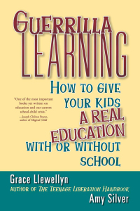 Cover image: Guerrilla Learning 1st edition 9780471349600