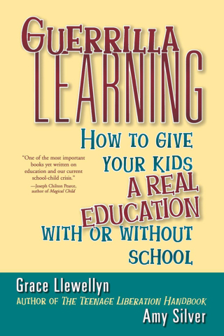 Imagen de portada: Guerrilla Learning 1st edition 9780471349600