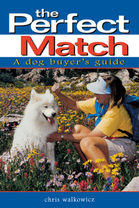 Cover image: The Perfect Match 1st edition 9780876057674