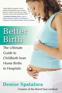 表紙画像: Better Birth 1st edition 9780470255612