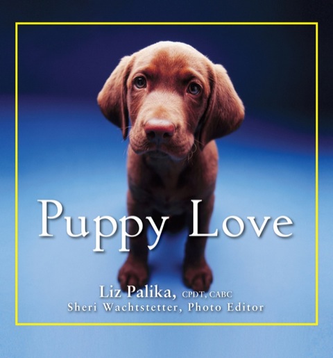 Puppy Love, 1st Edition - FULL INSTANT DOWNLOAD | PDF DOCX EPUB
