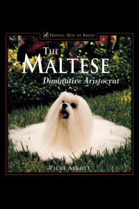 Omslagafbeelding: The Maltese 1st edition 9781582451602