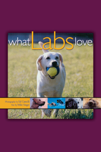 Cover image: What Labs Love 1st edition 9780764563201