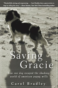 Cover image: Saving Gracie 1st edition 9781118012277