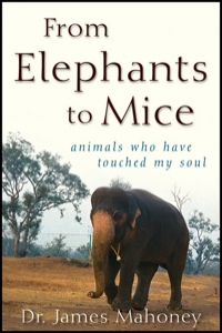 صورة الغلاف: From Elephants to Mice 1st edition 9780470501580