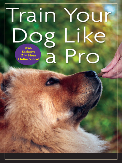 Train Your Dog Like a Pro, 1st Edition - FULL INSTANT DOWNLOAD | PDF DOCX EPUB