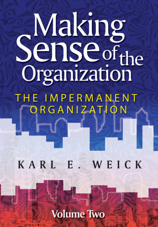 Cover image: Making Sense of the Organization, Volume 2 1st edition 9780470742204