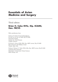 صورة الغلاف: Essentials of Avian Medicine and Surgery 1st edition 9781405157551