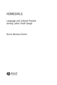 Imagen de portada: Homegirls: Language and Cultural Practice Among Latina Youth Gangs 1st edition 9780631234890
