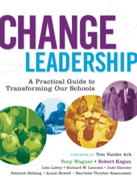 Cover image: Change Leadership: A Practical Guide to Transforming Our Schools 1st edition 9780787977559