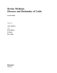 Imagen de portada: Bovine Medicine: Diseases and Husbandry of Cattle 2nd edition 9780632055968