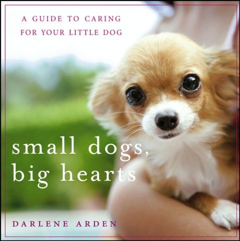 Small Dogs, Big Hearts: A Guide to Caring for Your Little Dog, 1st Edition - FULL INSTANT DOWNLOAD | PDF DOCX EPUB