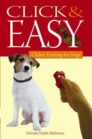 Cover image: Click & Easy 1st edition 9780764596438