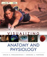 Cover image: Visualizing Anatomy and Physiology 1st edition 9780470491249