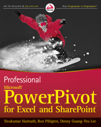 Cover image: Professional Microsoft PowerPivot for Excel and SharePoint 1st edition 9780470587379