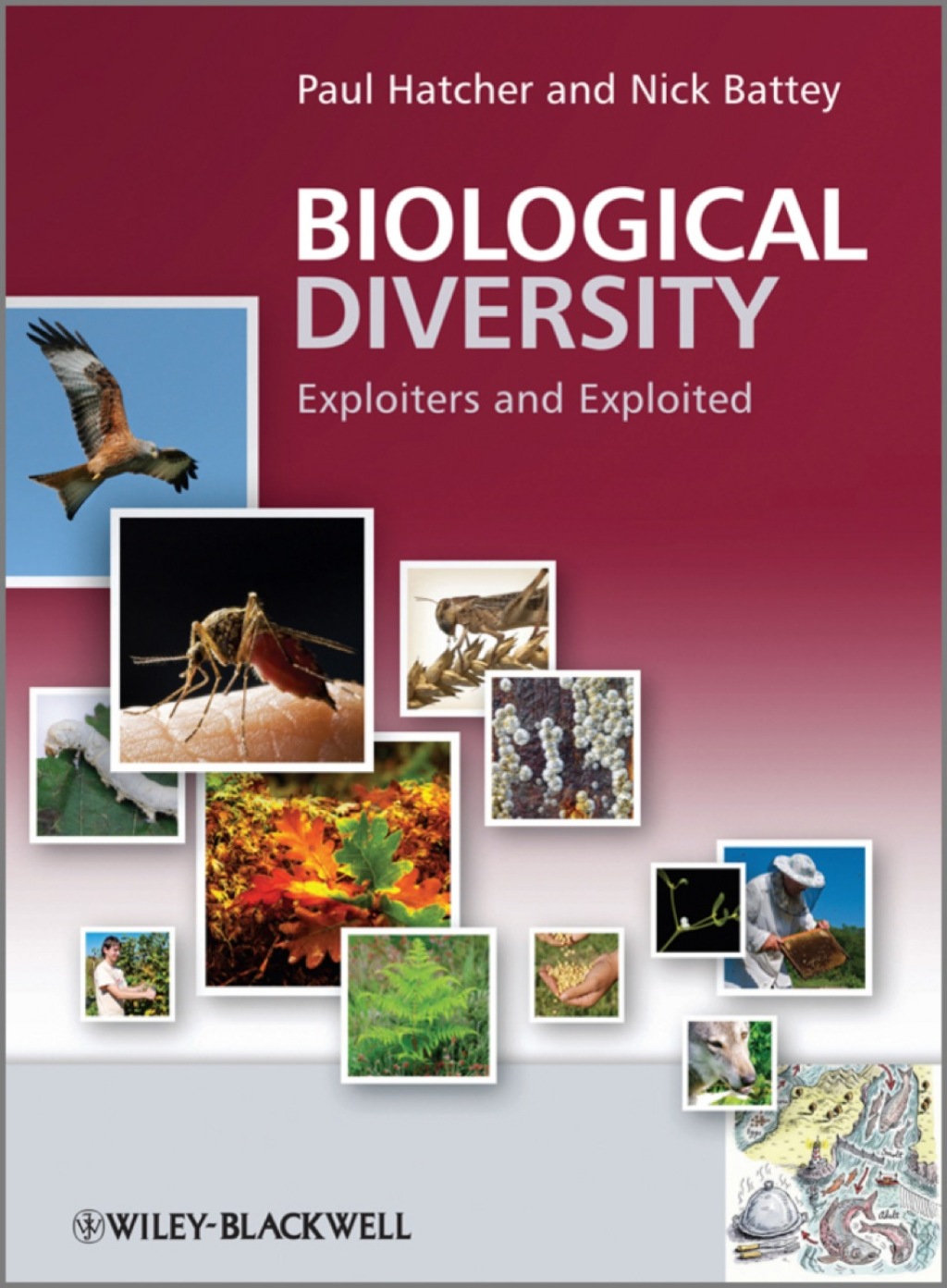 Biological Diversity: Exploiters and Exploited 1st Edition