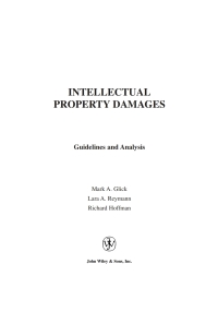 Imagen de portada: Intellectual Property Damages: Guidelines and Analysis 1st edition 9780471237198