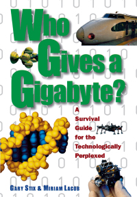 Cover image: Who Gives a Gigabyte? 1st edition 9780471162933