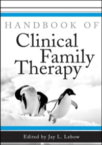 Cover image: Handbook of Clinical Family Therapy 1st edition 9780471431343