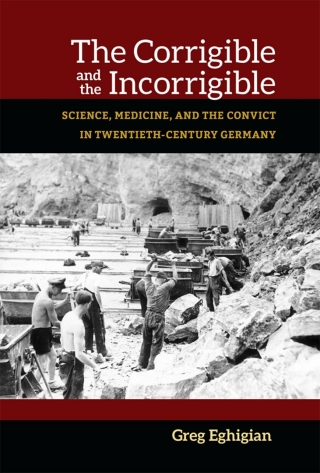 Omslagafbeelding: The Corrigible and the Incorrigible 9780472119653