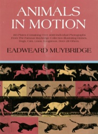 Cover image: Animals in Motion 9780486202037