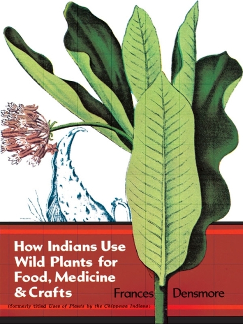 How Indians Use Wild Plants for Food, Medicine & Crafts - FULL INSTANT DOWNLOAD | PDF DOCX EPUB