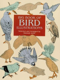 Cover image: Big Book of Bird Illustrations 9780486412252