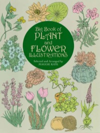表紙画像: Big Book of Plant and Flower Illustrations 9780486409467